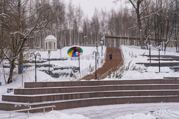 Клин. Парк культуры и отдыха «Сестрорецкий». Зима