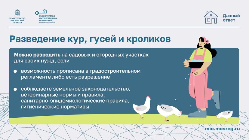 Дачный сезон штрафы-горизонталь-09