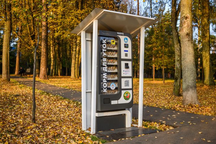 Расторгуевский парк в Видном Ленинского округа