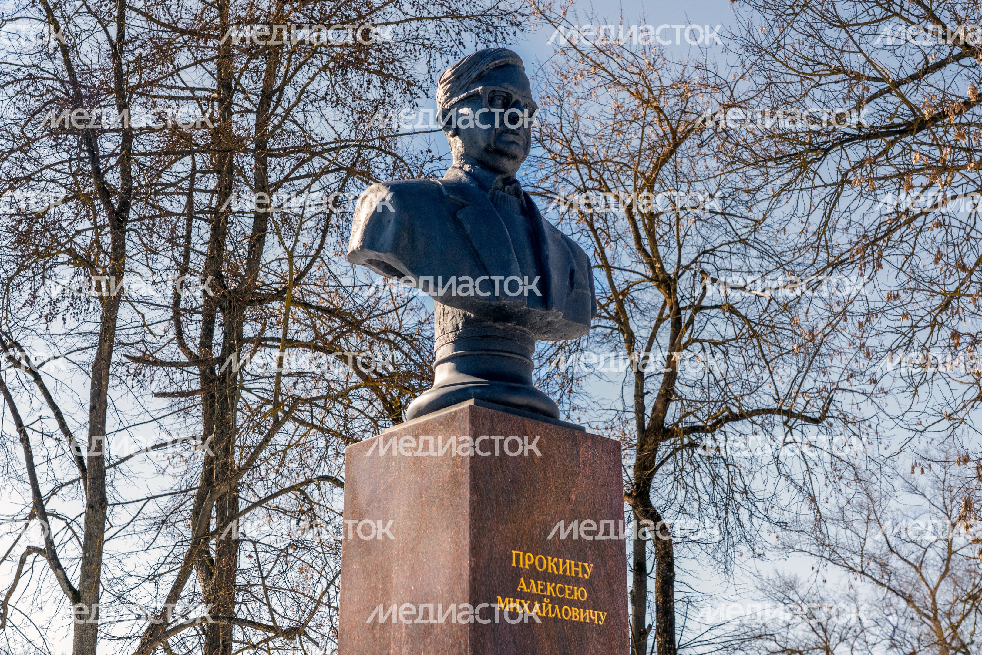 Памятник А. М. Прокину в Чехове Памятник А. М. Прокину в Чехове