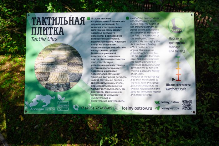 Эколого-просветительский комплекс "Дендрарий" в Мытищах