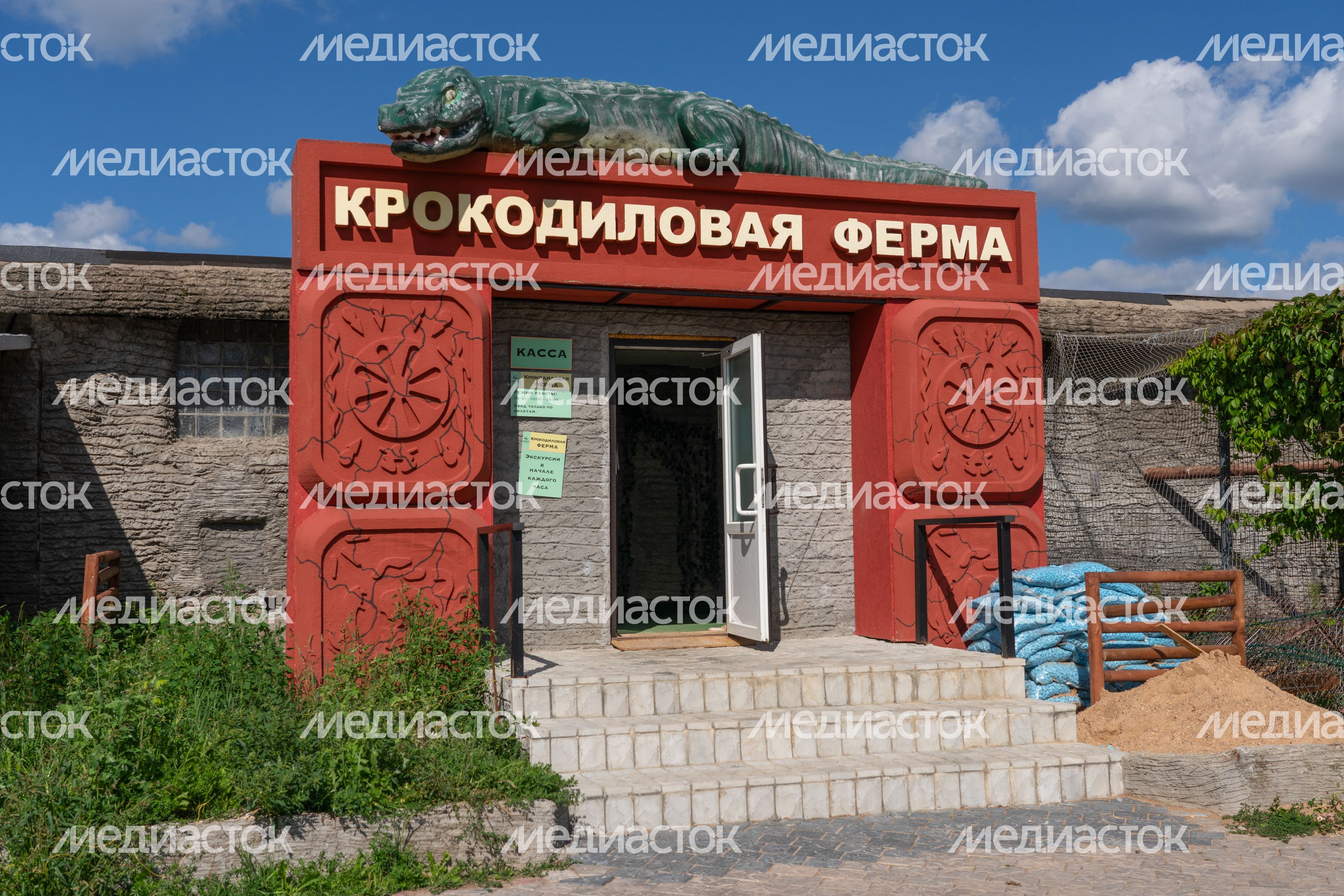 Животные на зооферме "Шихово" в Дмитровском округе Животные на зооферме "Шихово" в Дмитровском округе