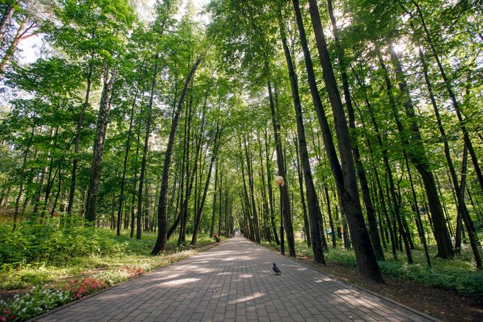 Красногорск. Красногорский городской парк