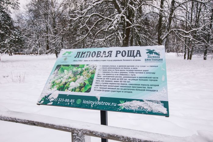 Лосиная биостанция в Национальном парке «Лосиный остров» в Мытищах