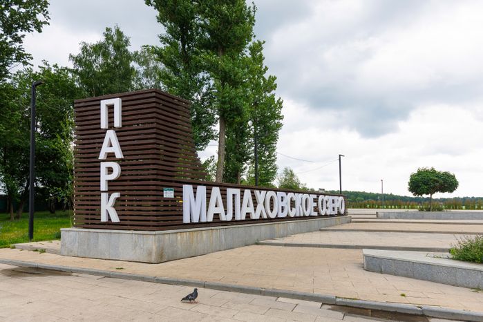 Лето в парке «Малаховское озеро» в Люберцах