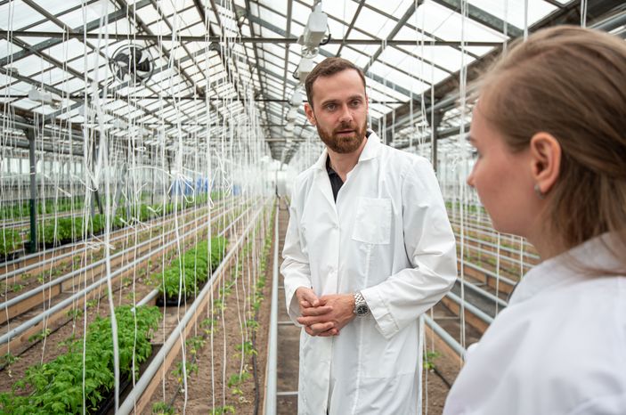 Теплицы крупного семеноводческого агропромышленного комплекса ООО «Агрофирма Партнер»