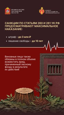 Самовольный захват и использование лесных участков вертикаль 07