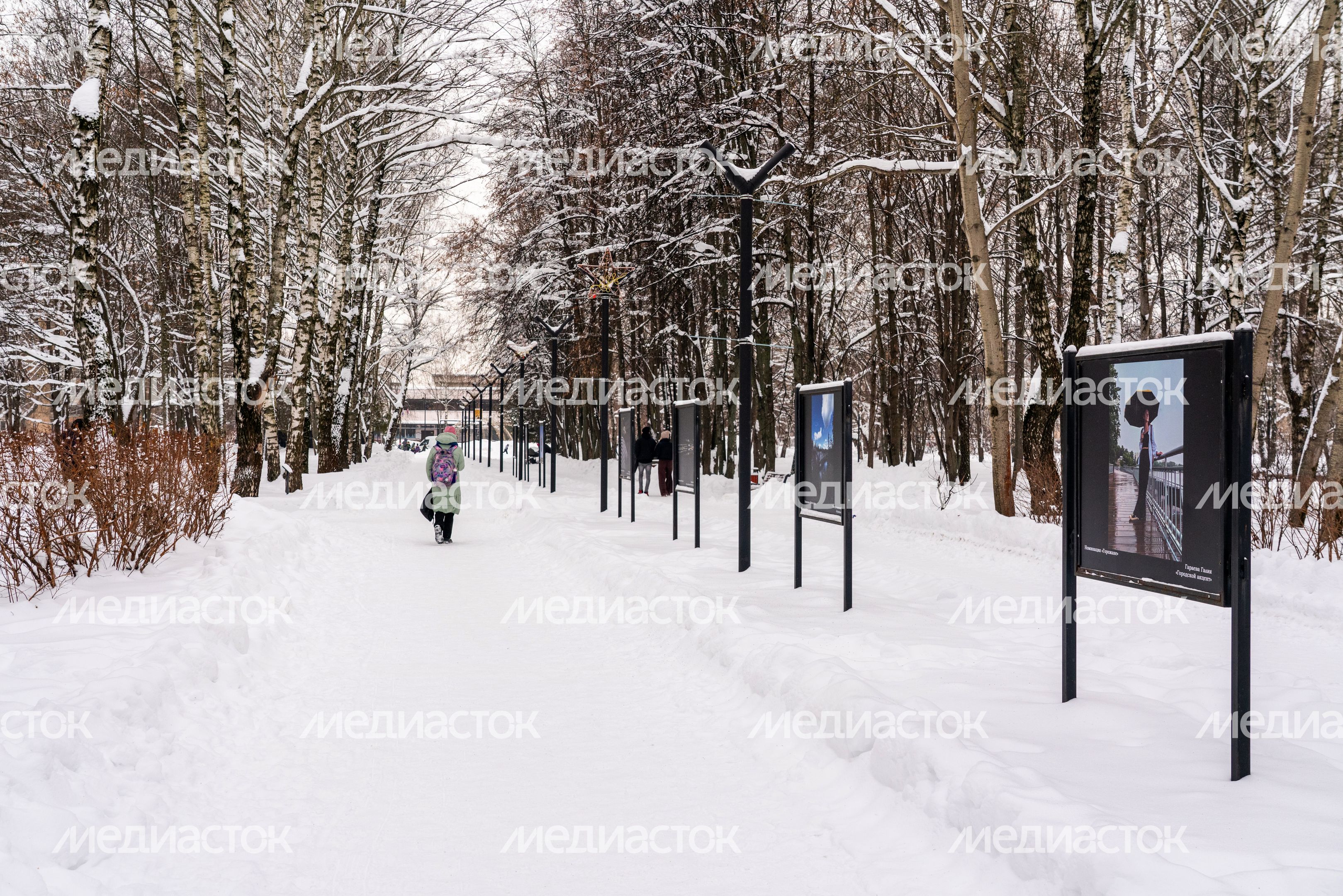 Фотовыставка в городском парке культуры и отдыха в Долгопрудном Фотовыставка в городском парке культуры и отдыха в Долгопрудном