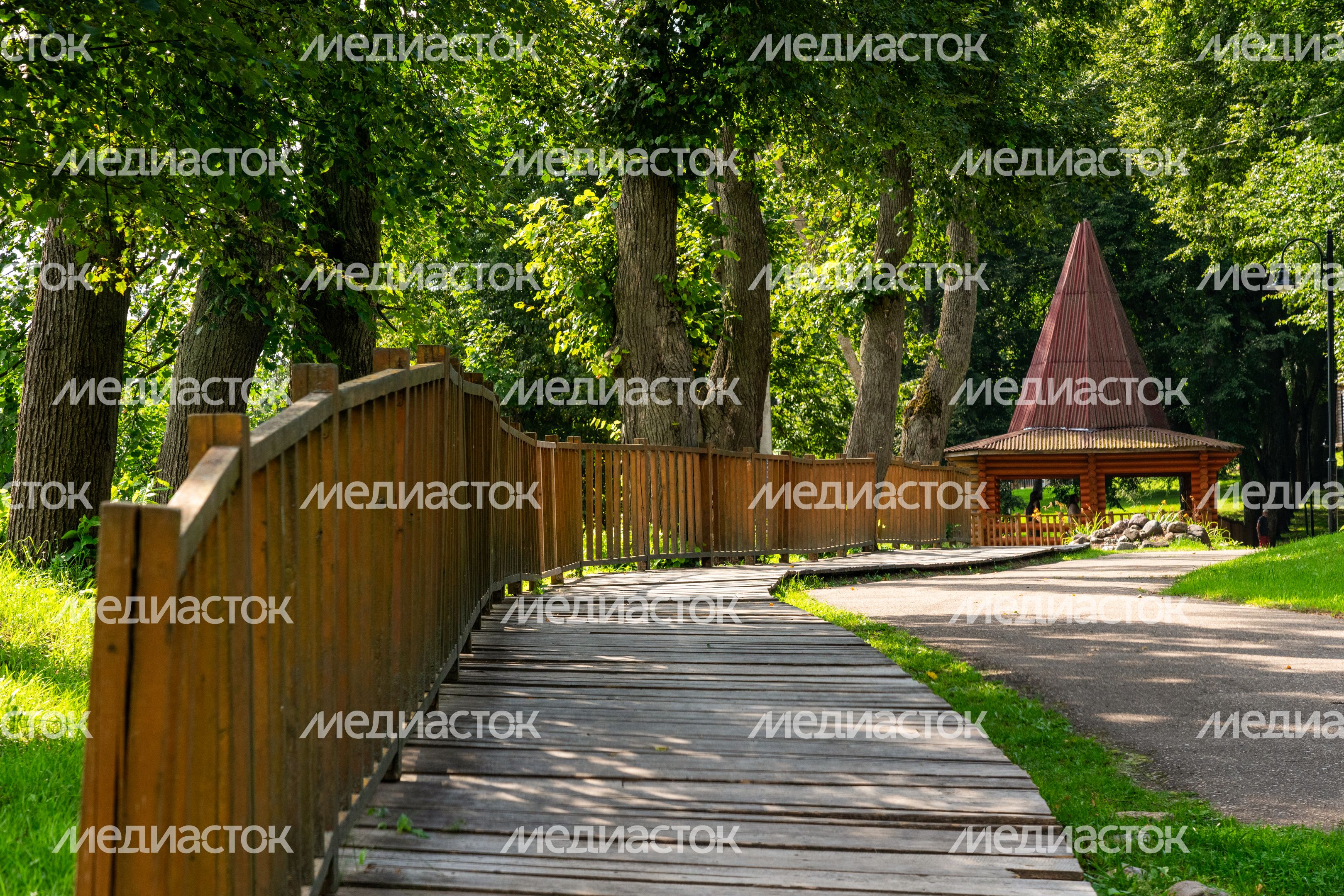 Парк культуры и отдыха "Городок" в Рузе. Лето Парк культуры и отдыха "Городок" в Рузе. Лето