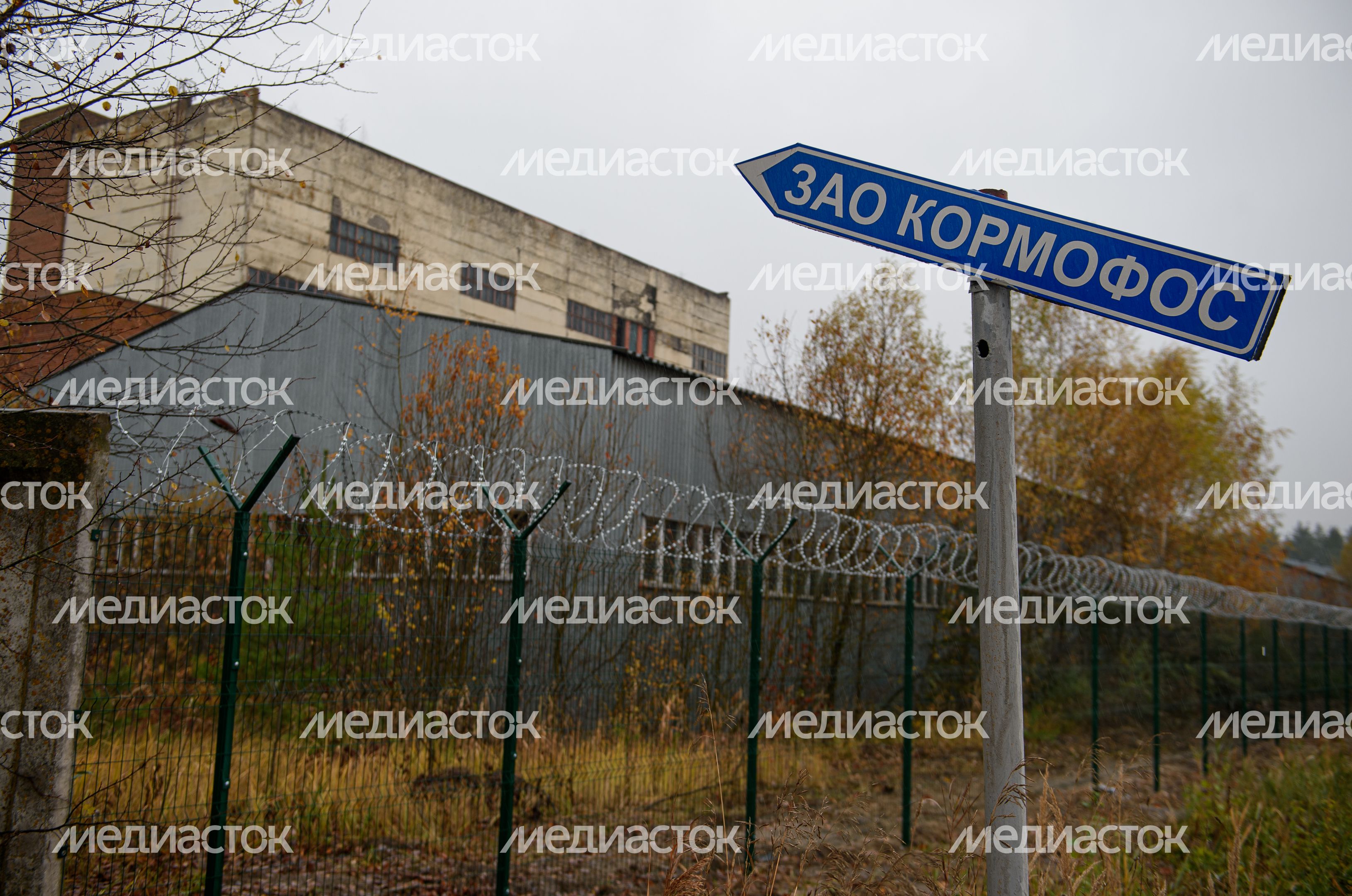 Осенние виды заброшенного завода «Кормофос»
