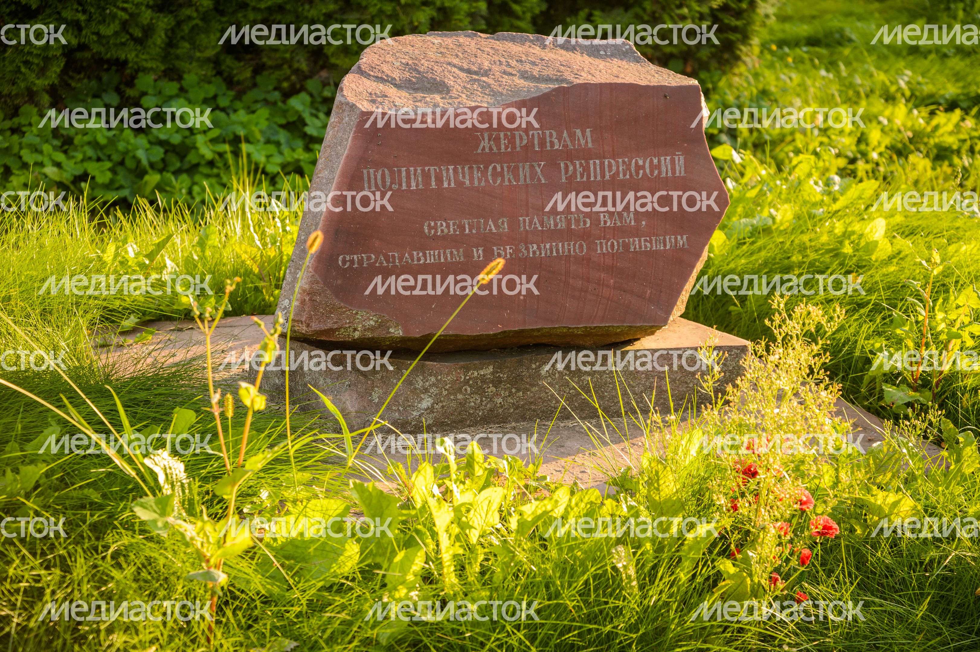 Бронницы. Памятник жертвам репрессий Бронницы. Памятник жертвам репрессий