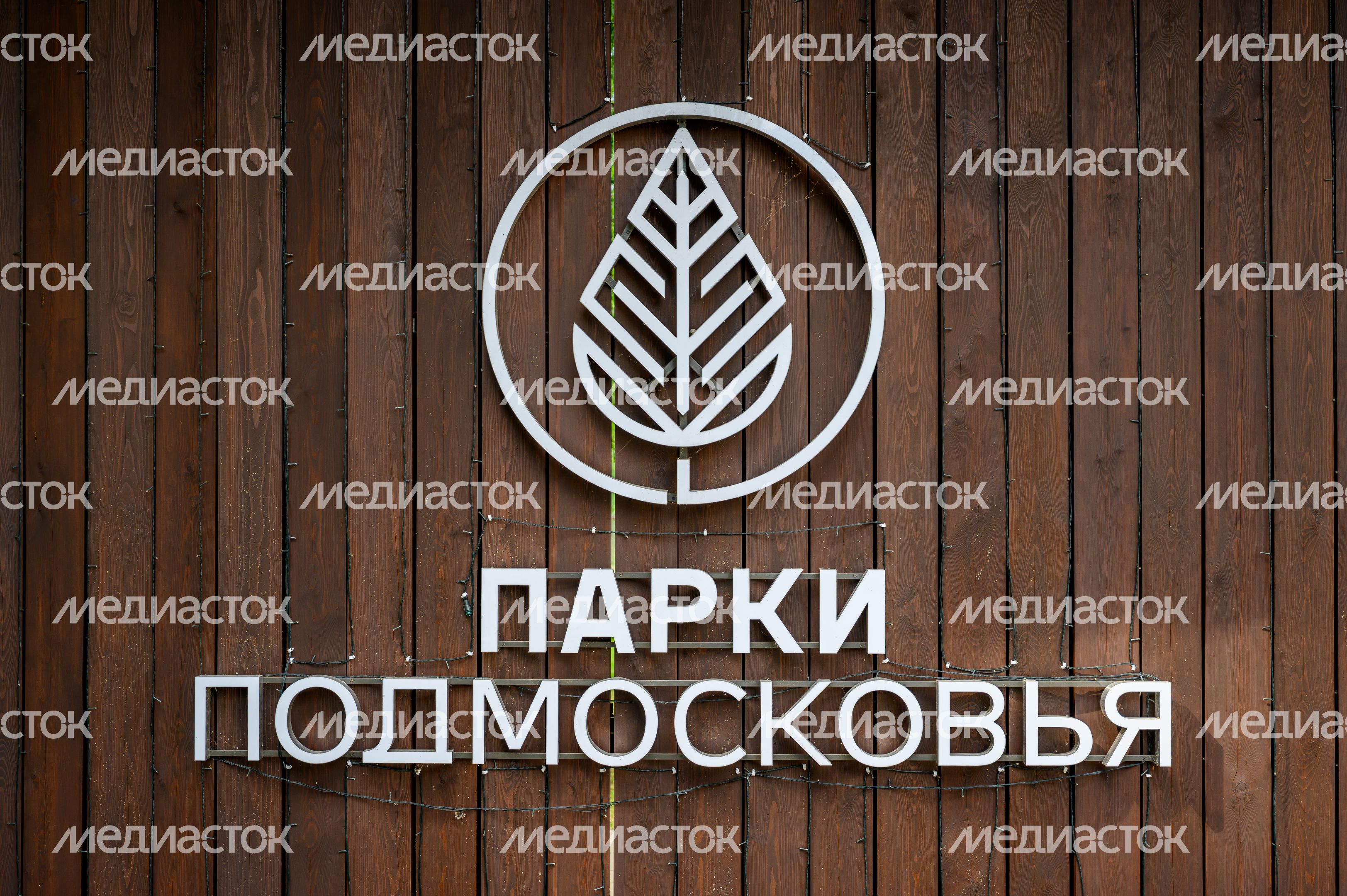Лето в Наташинском парке Люберец