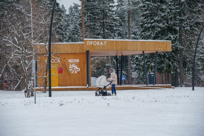 Балашиха. Пестовский парк. Зима