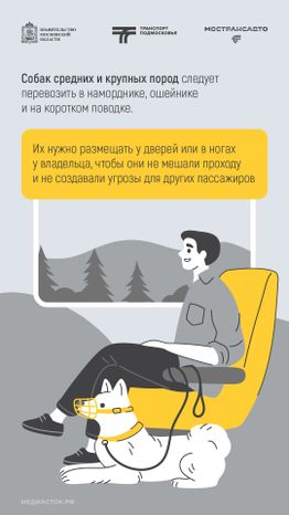 Правила перевозки животных вертикаль 05