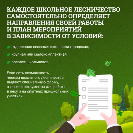 Школьные лесничества