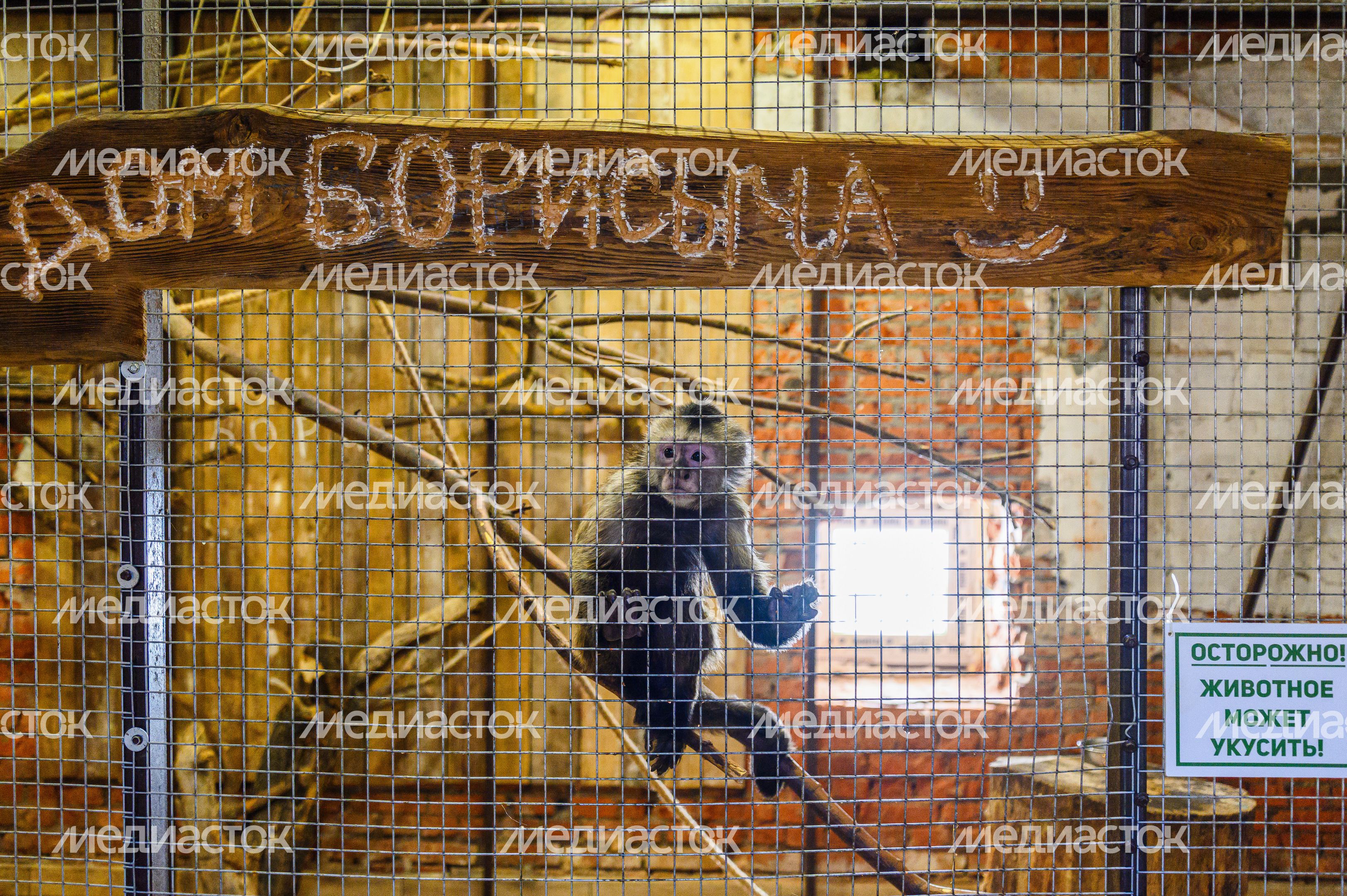Ферма "ЭкоДеревушка" в Коломне