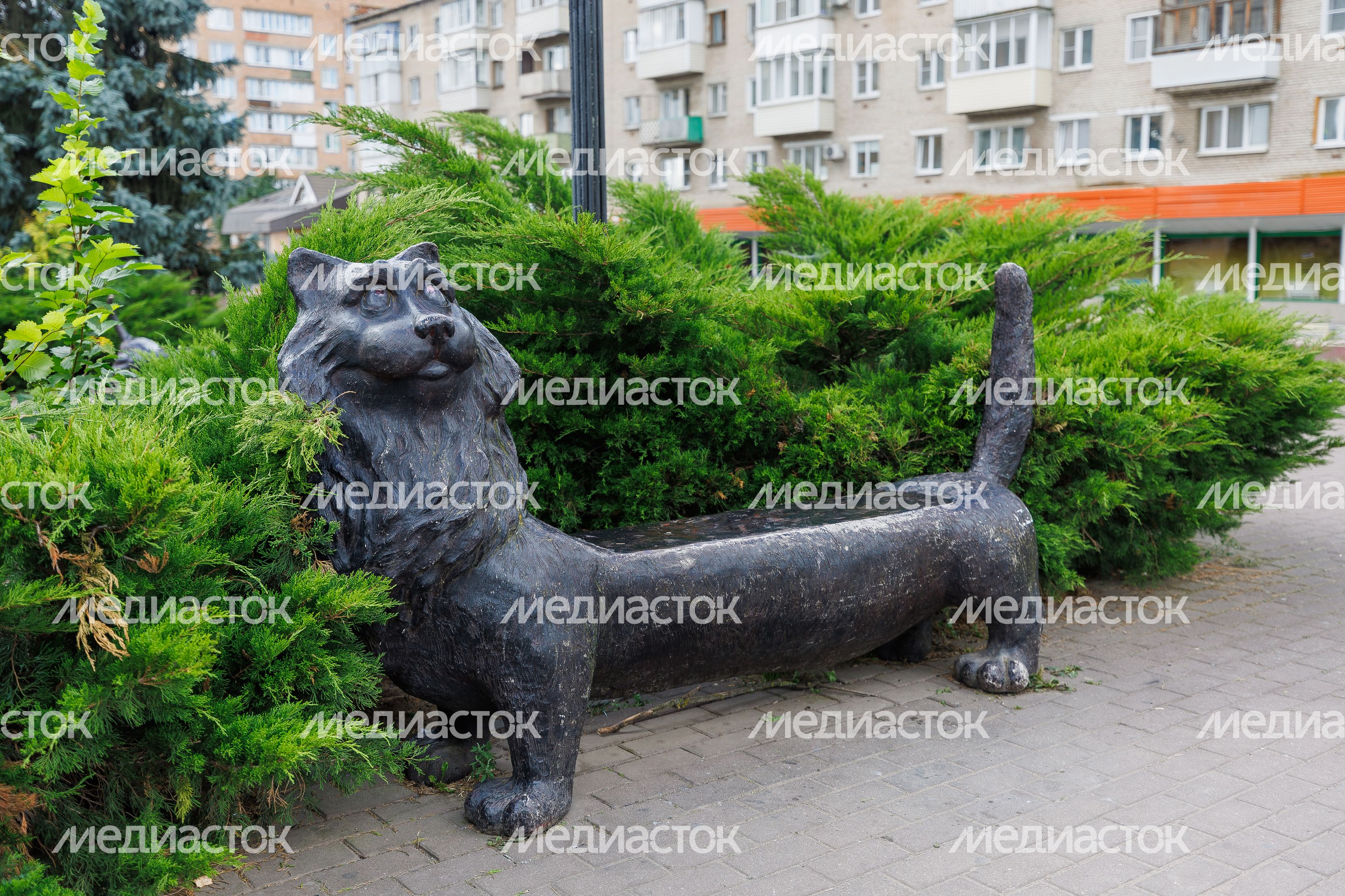Жанровая скульптура «Кот Баюн» в виде лавочки в Воскресенске Жанровая скульптура «Кот Баюн» в виде лавочки в Воскресенске