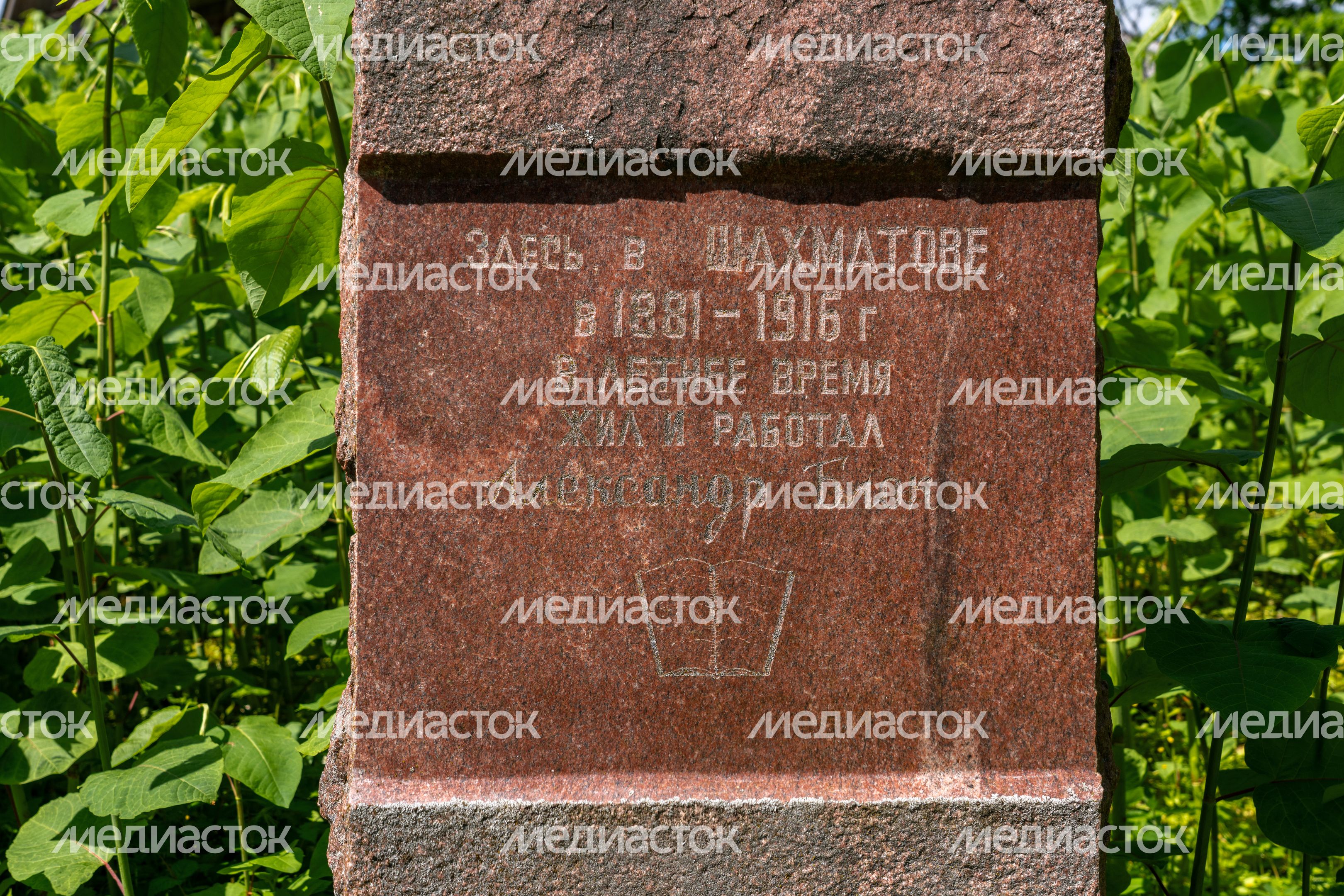 Музей-заповедник Д.И. Менделеева и А.А. Блока. Усадьба Шахматово Музей-заповедник Д.И. Менделеева и А.А. Блока. Усадьба Шахматово
