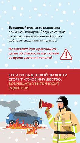 Тополиный пух