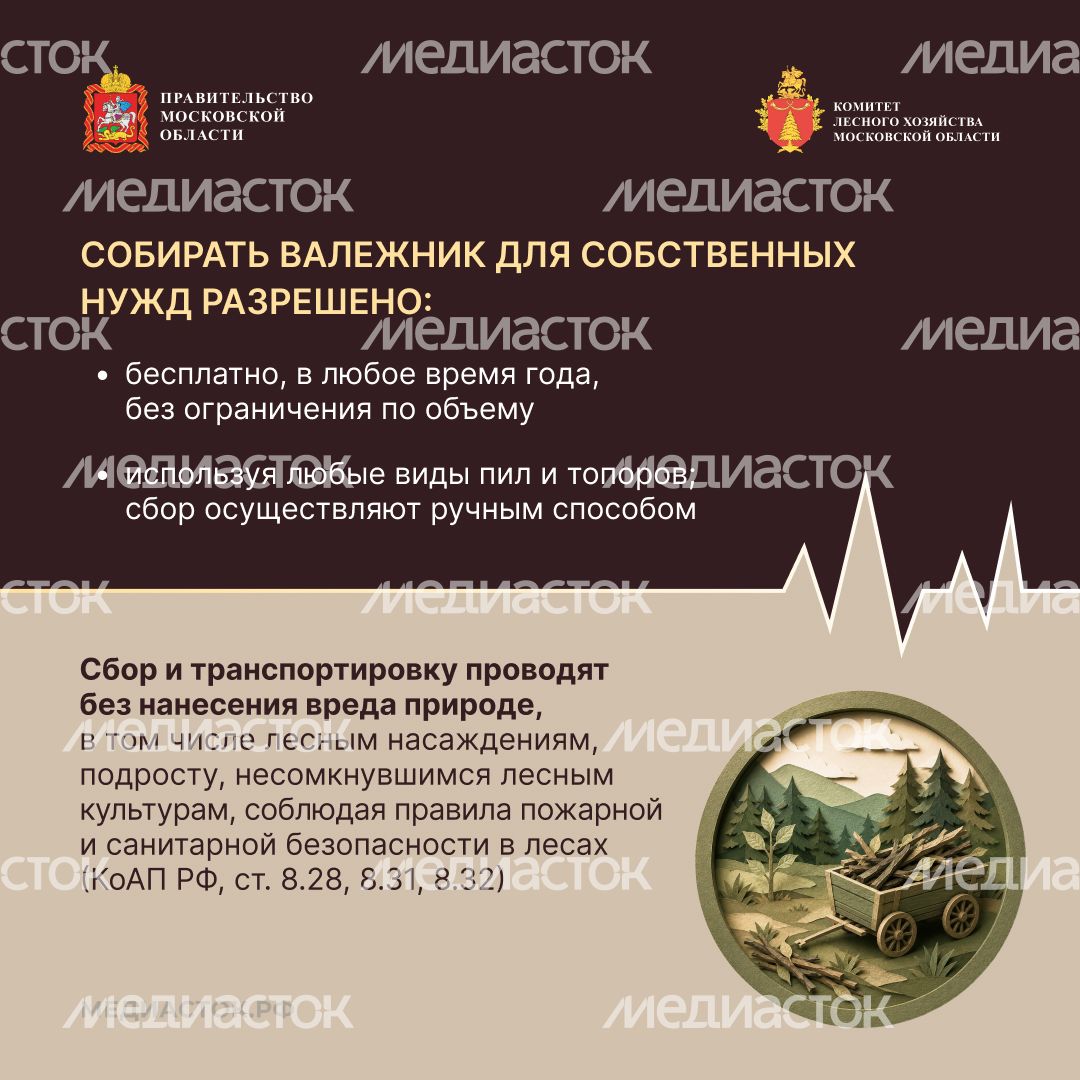 Валежник для собственных нужд квадрат 06 Валежник для собственных нужд квадрат 06