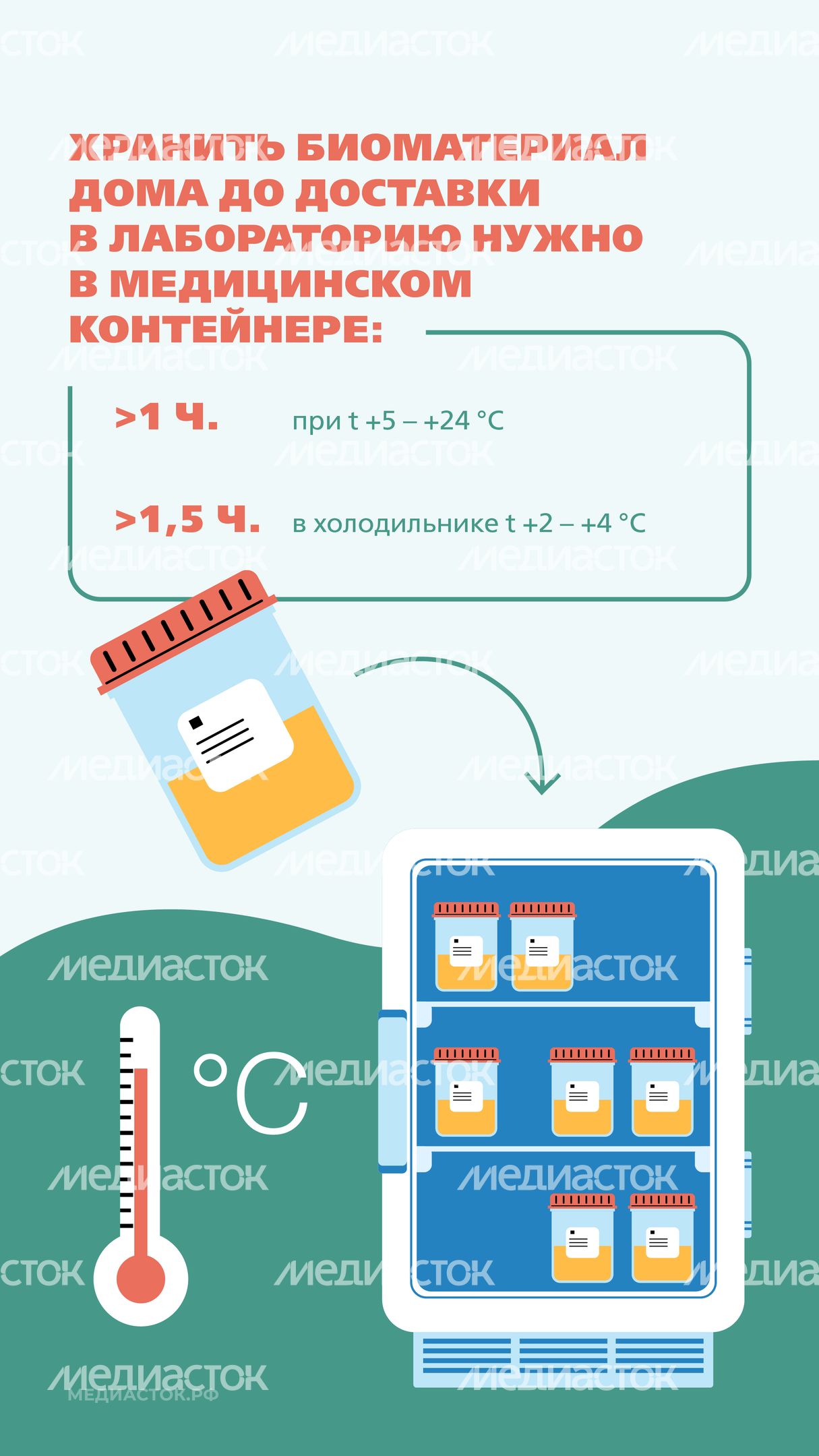 Подготовка к исследованию мочи Вертикаль 07 Подготовка к исследованию мочи Вертикаль 07