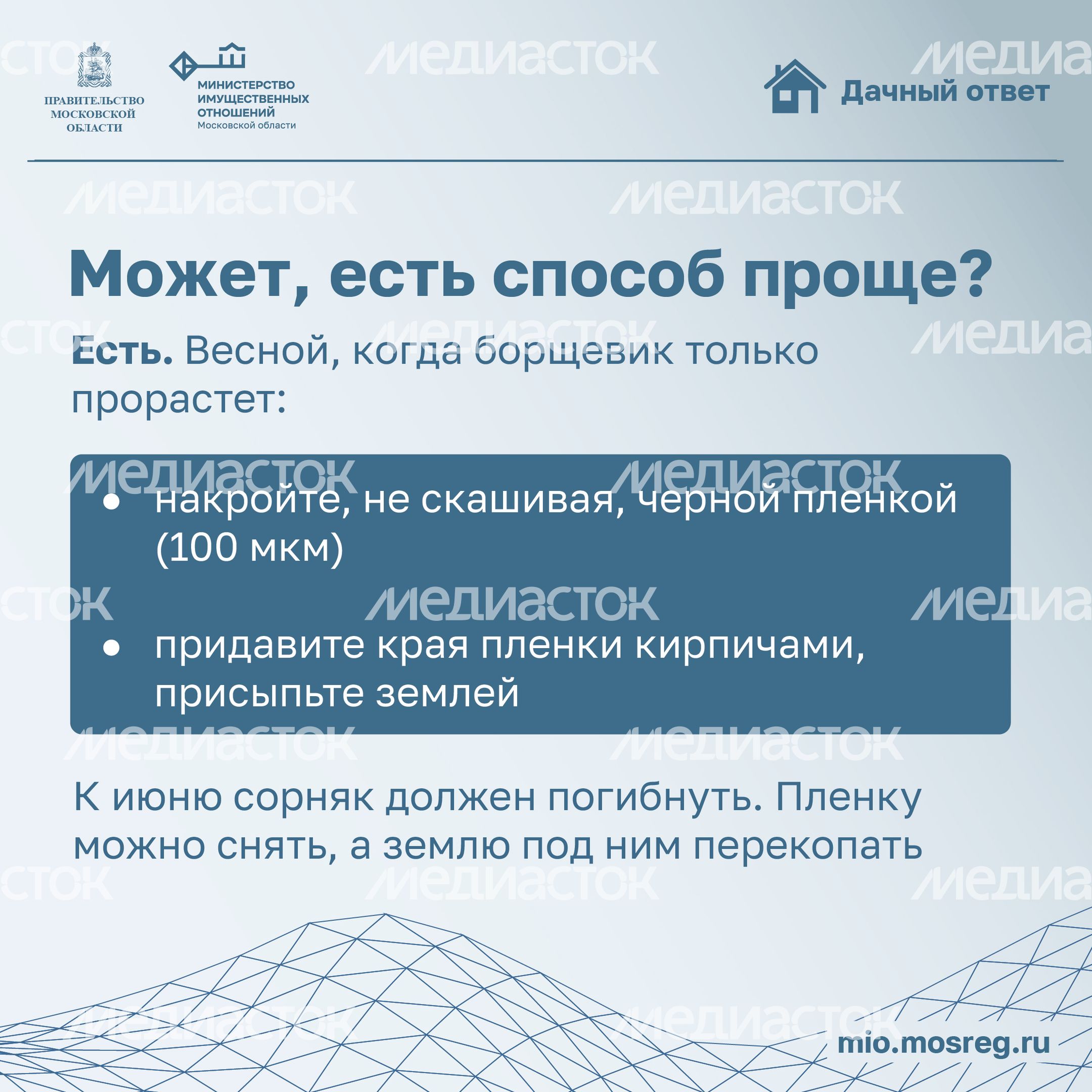 Дачный ответ_борщевик-19.jpg