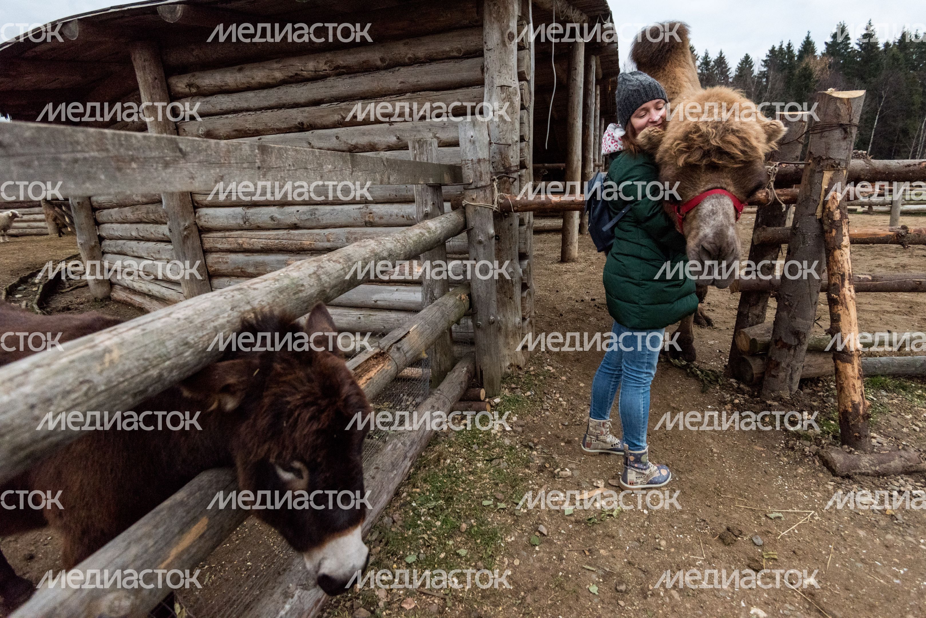 Этнопарк «Кочевник»
