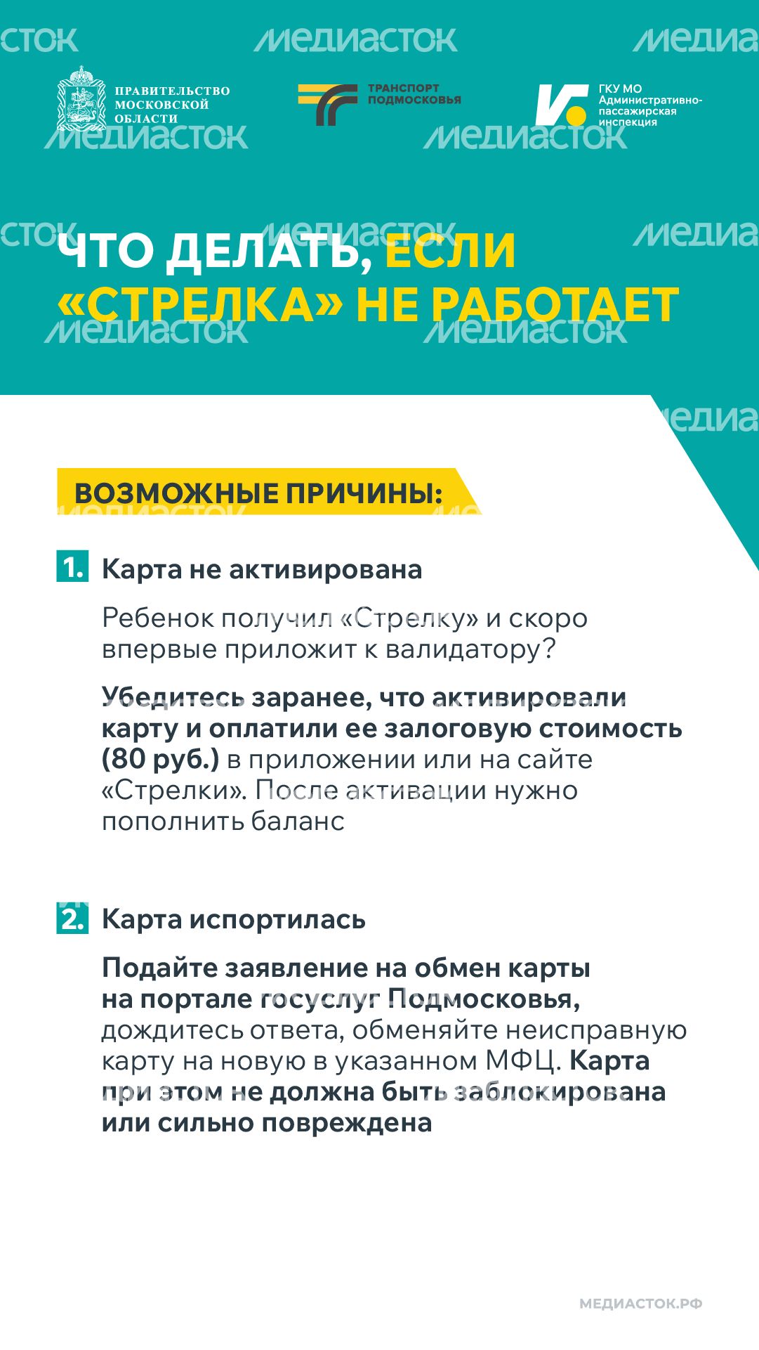 Поездки школьников в автобусах Вертикаль 02