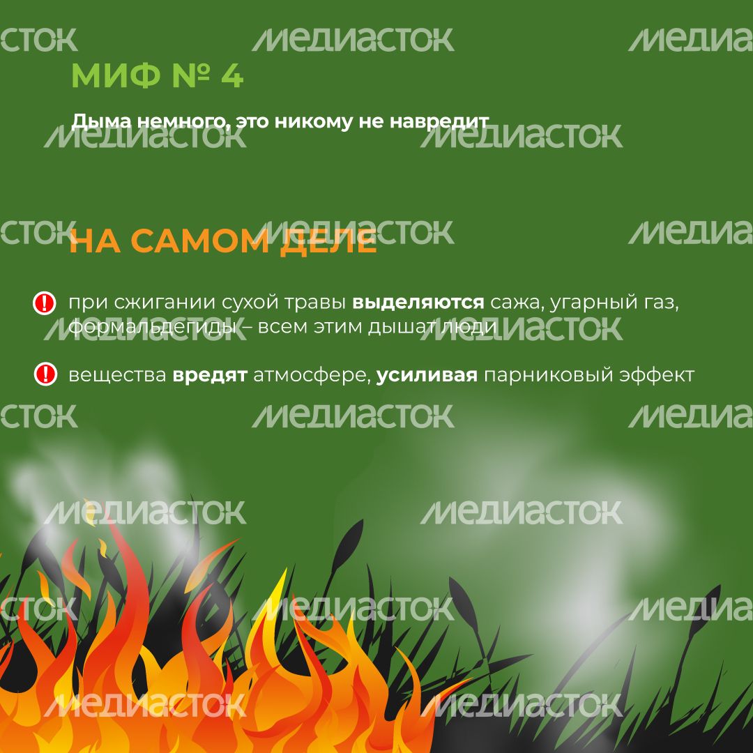комлесхоз_пал_кв_5.jpg