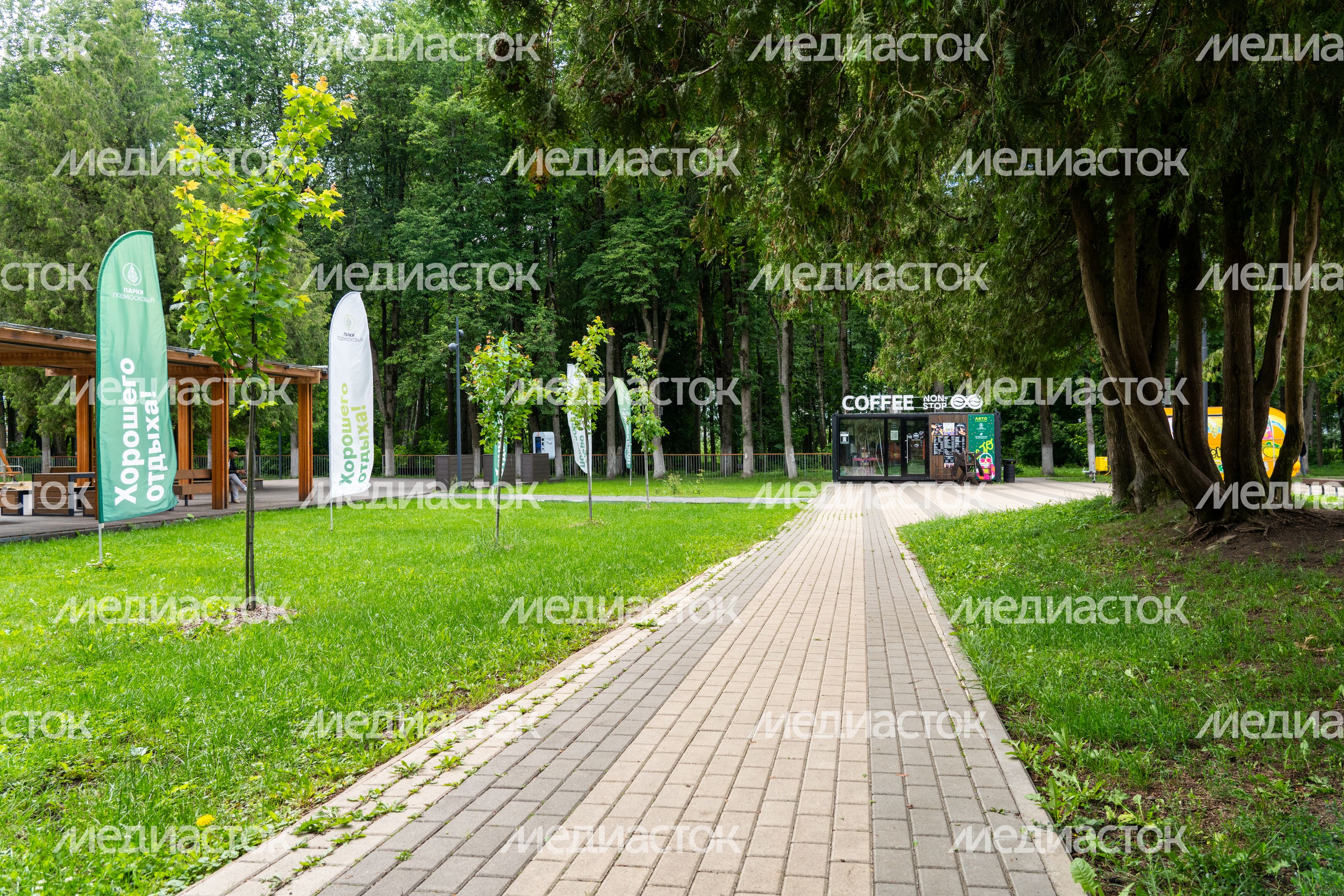 Центральный парк имени В.В. Воровского в Наро-Фоминске летом