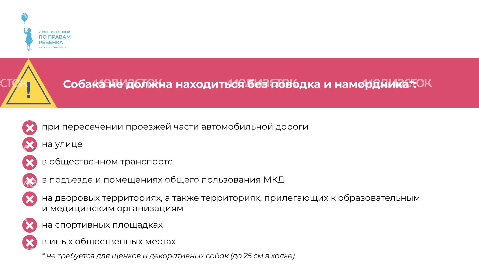 уппр_осторожно_собака_горизонталь_6.jpg