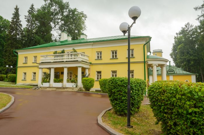 Пальмы и Розы Зинаиды Морозовой