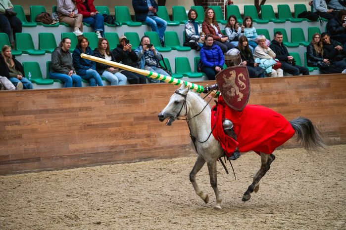 Рыцари на костюмированном шоу на лошадях «Конная палитра»
