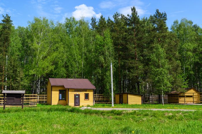 Национальный парк «Лосиный остров» в Мытищах