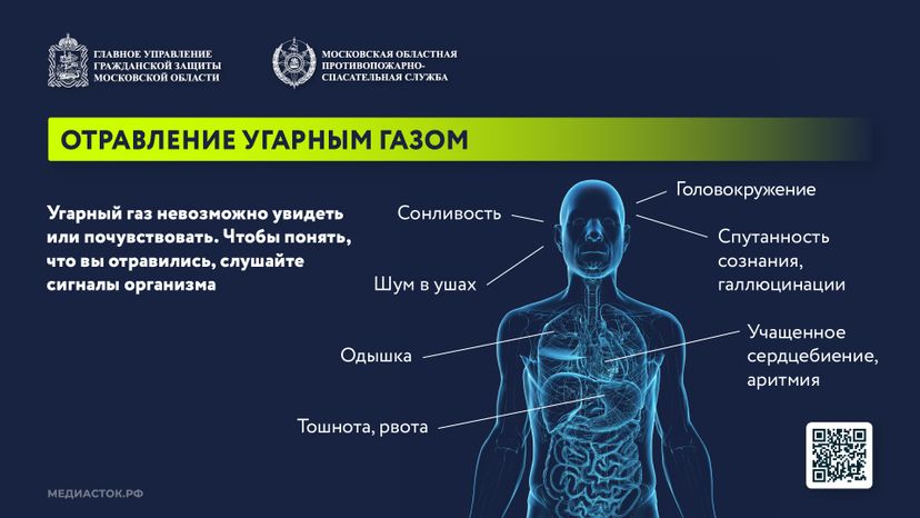Угарный газ горизонталь 09
