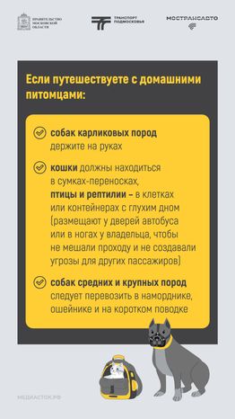 Путешествуем с Мострансавто скорость, комфорт, безопасность вертикаль 07