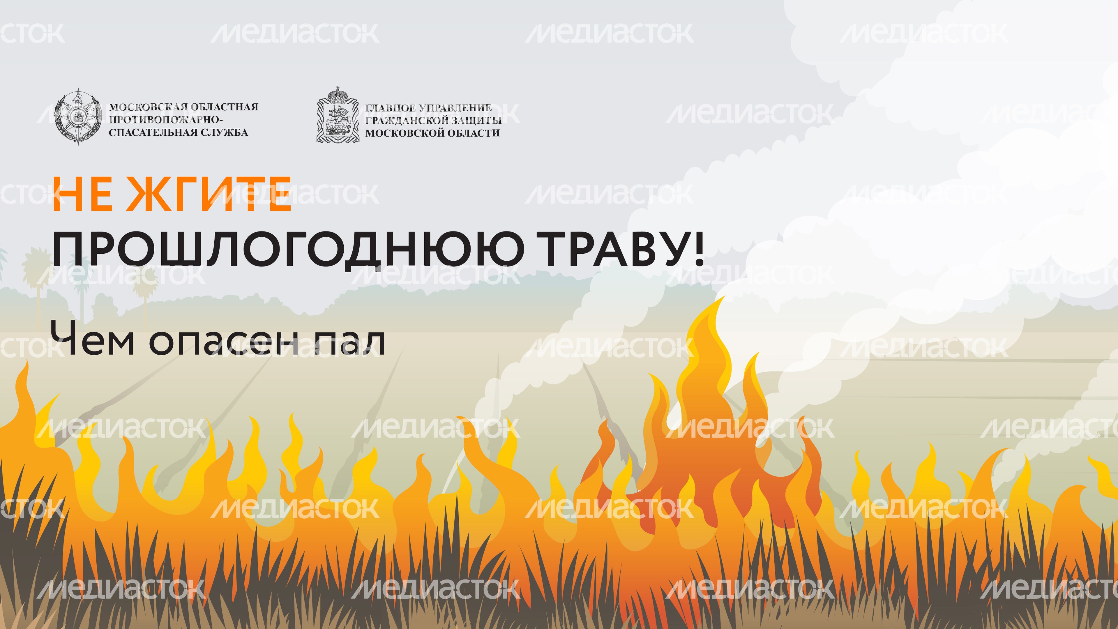Пал травы-06.jpg