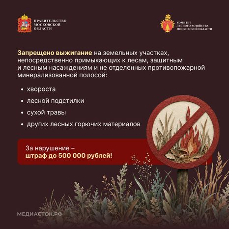 Живете рядом с лесом квадрат 06