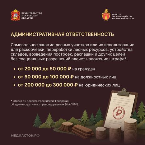 Самовольный захват и использование лесных участков квадрат 04