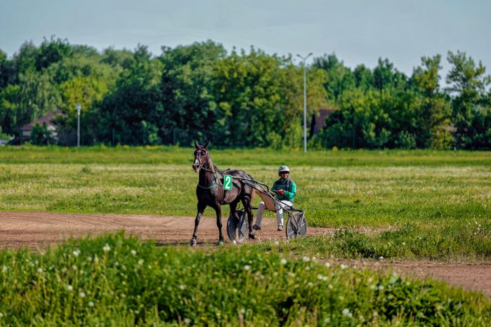 Рысистые бега на Раменском ипподроме