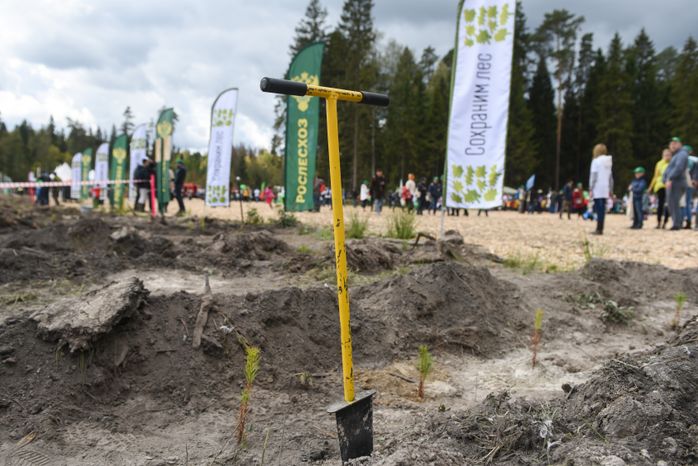 Ежегодная экологическая акция «Наш лес. Посади свое дерево» в Одинцовском городском округе