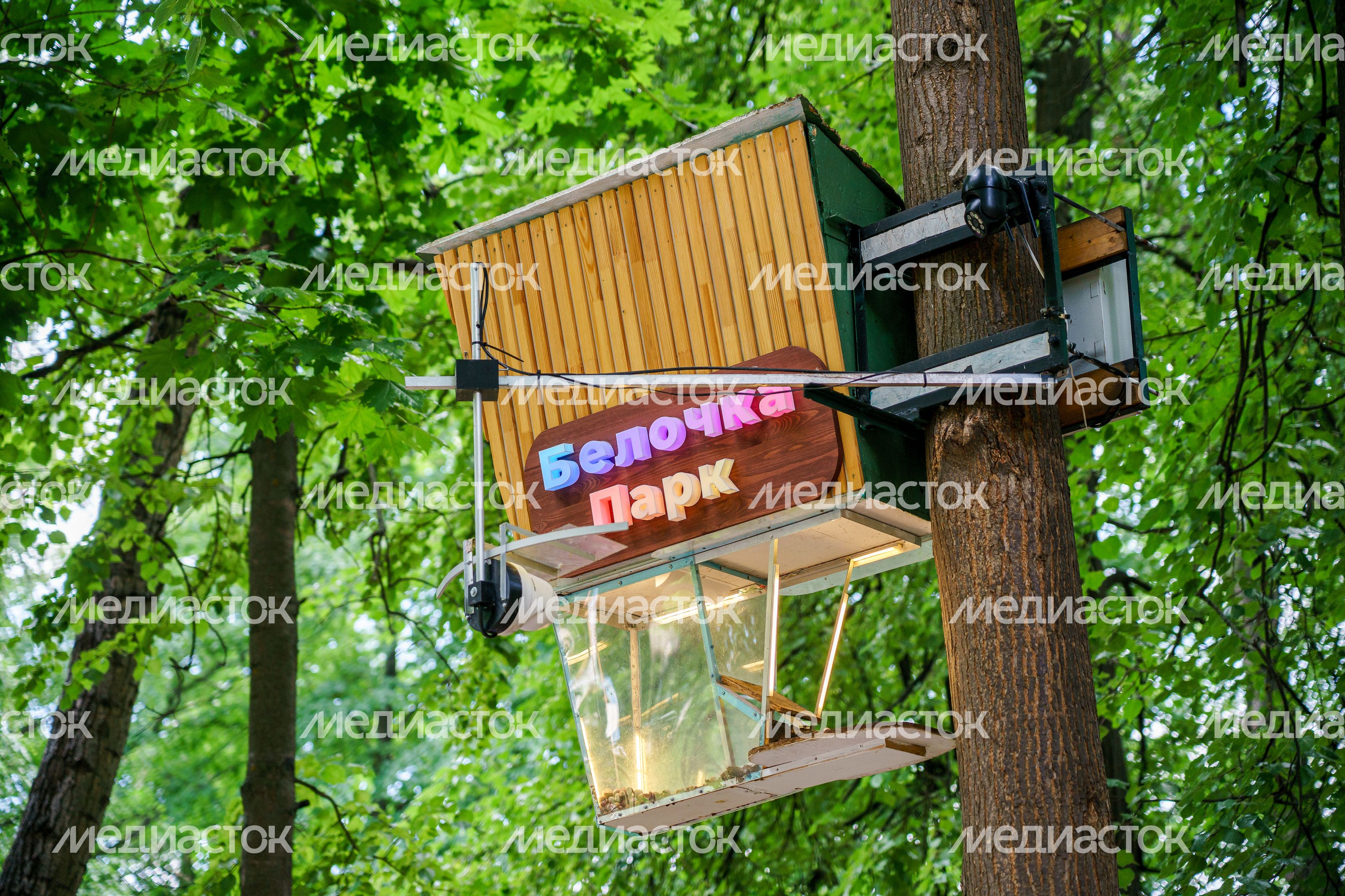 Раменский городской парк культуры и отдыха летом