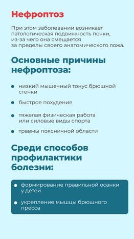 болезни почек-вертикаль-10