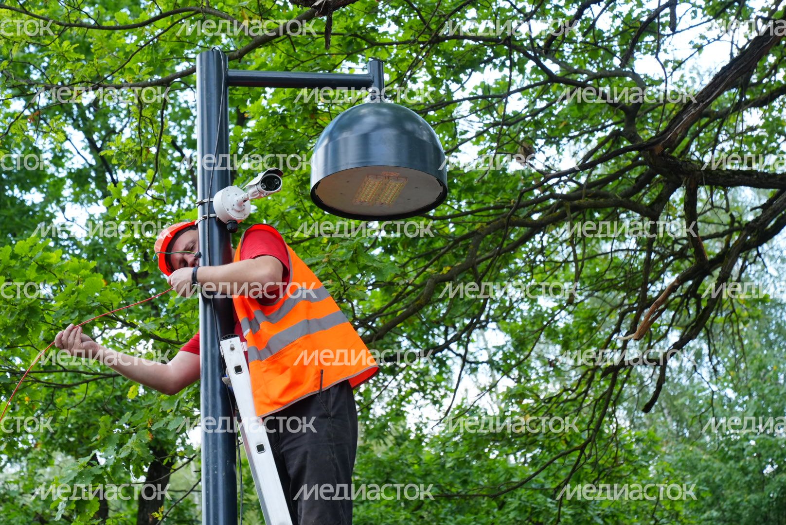 Посещение Фрязинского лесопарка Губернатором Подмосковья