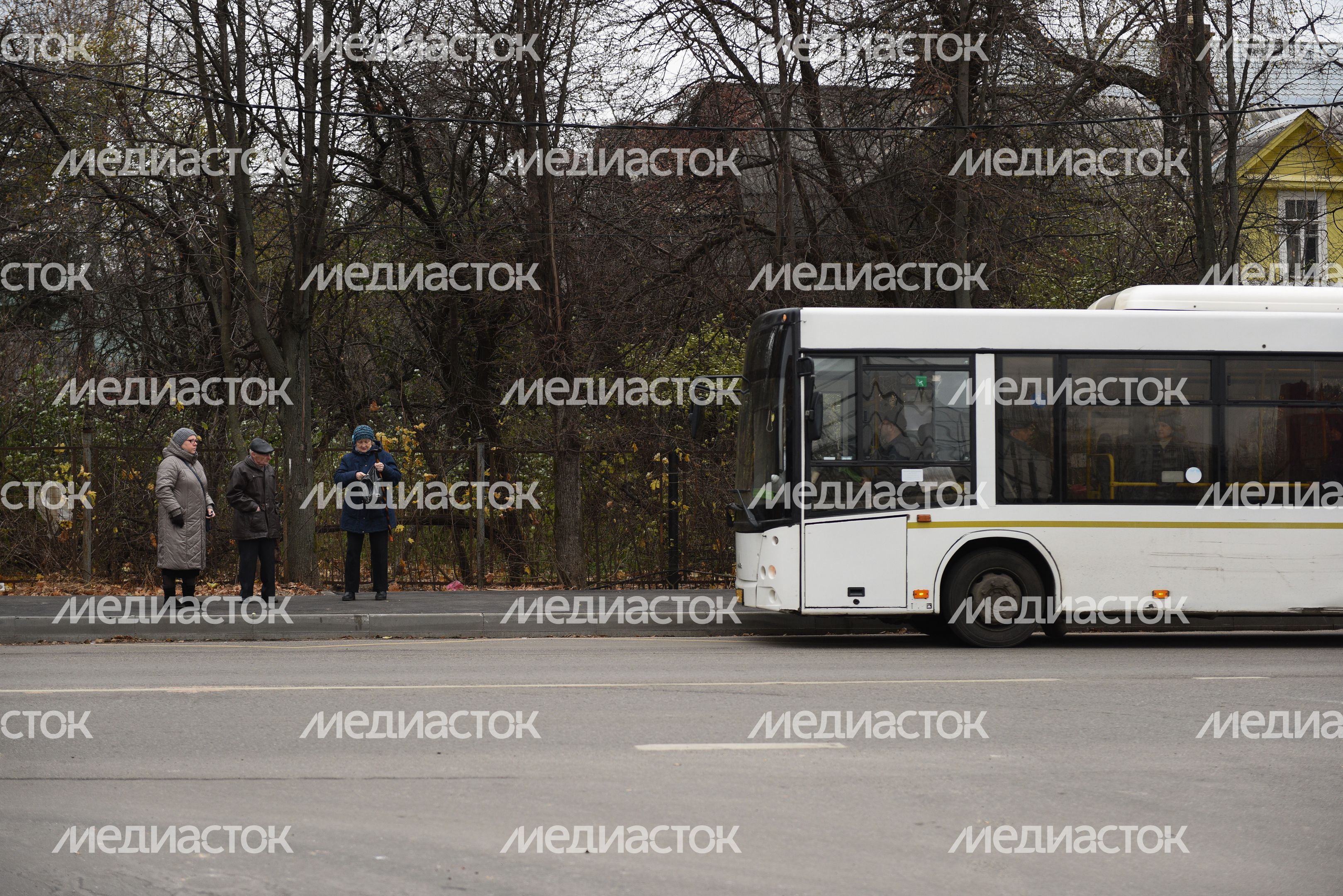 Общественный транспорт в Подмосковье