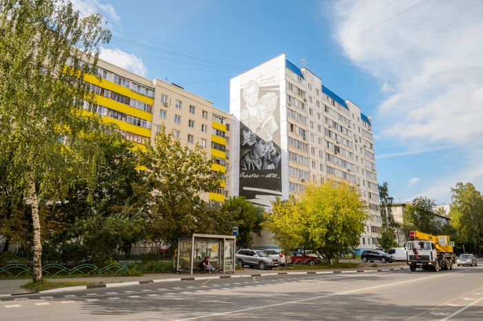 Балашиха. Муралы на стенах домов