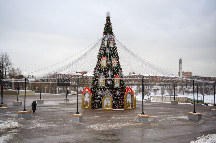 Елка в Раменском городском парке в новогодние праздники