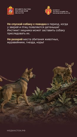 Пребывание граждан в лесах Вертикаль 07