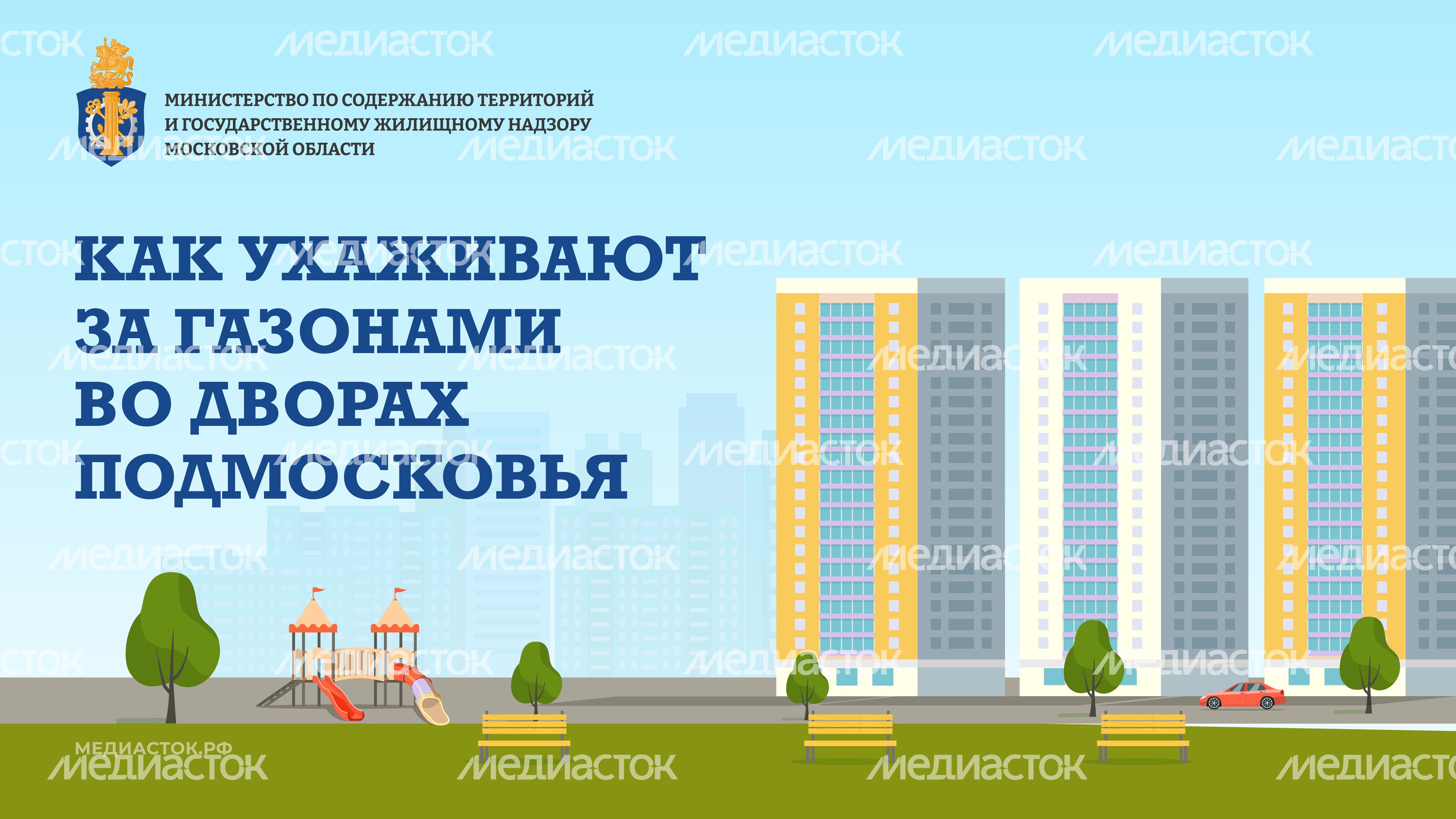Как ухаживают за газонами горизонталь 01 Как ухаживают за газонами горизонталь 01