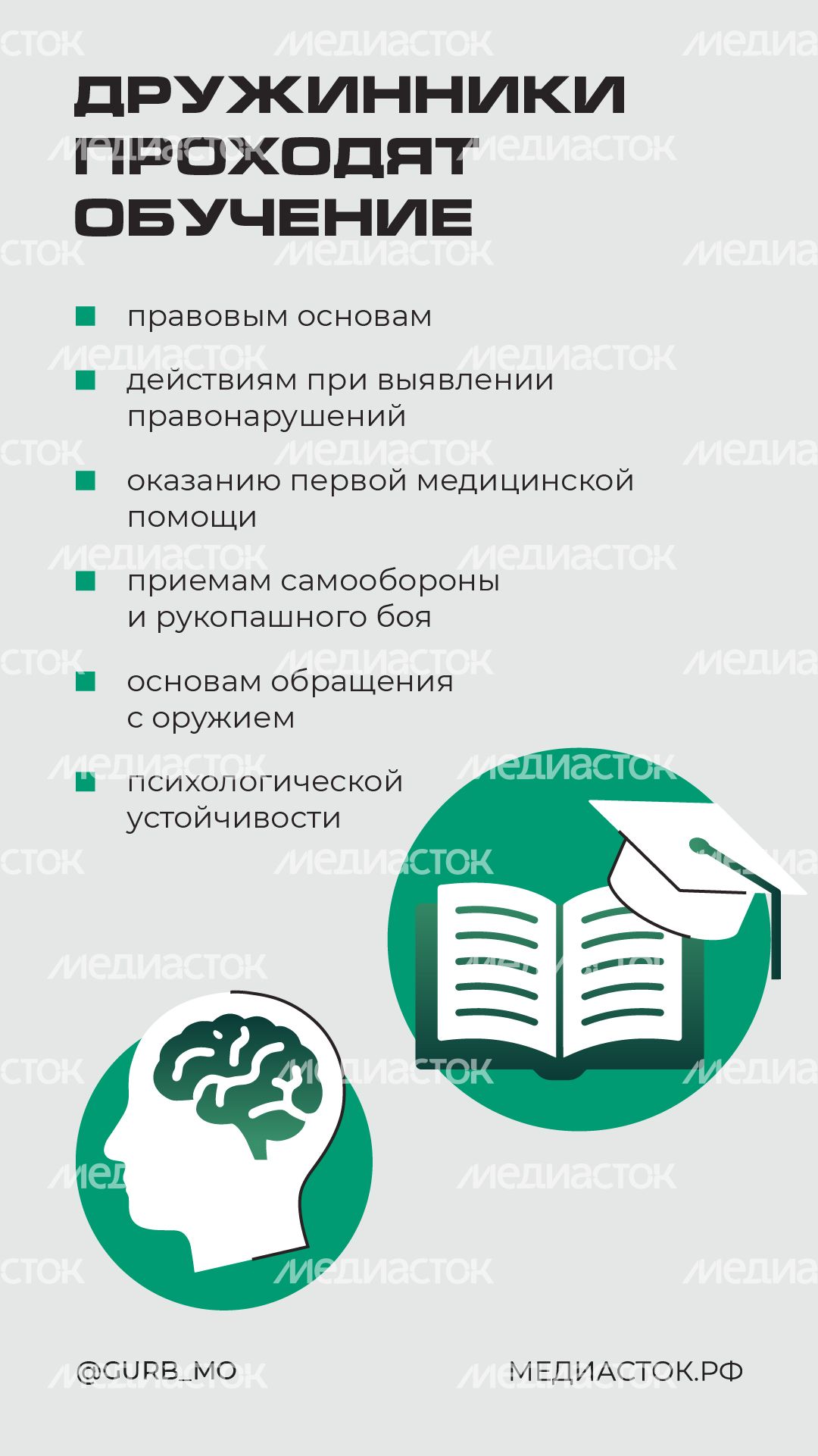 Как стать народным дружинником вертикаль 06 Как стать народным дружинником вертикаль 06